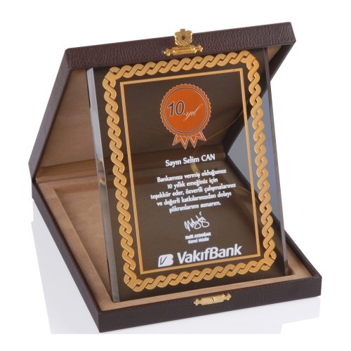 Plaket 2 Plaket plaket cam